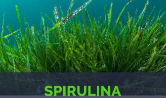 Spirulina facts and health benefits