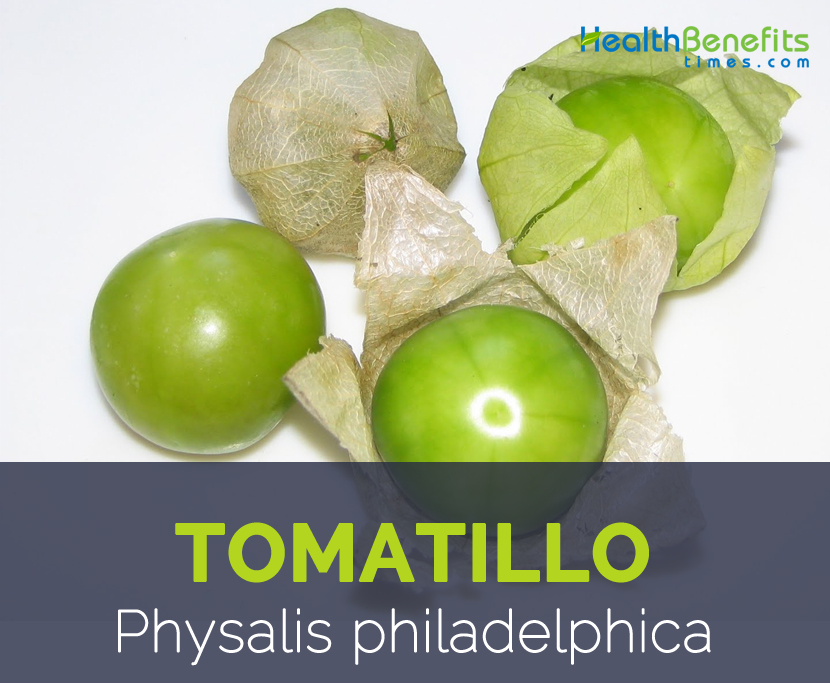 Tomatillo facts and health benefits