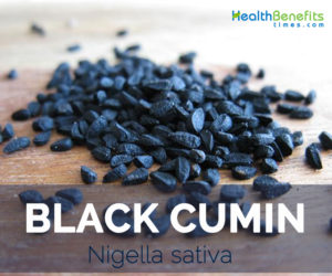 Black Cumin facts and health benefits