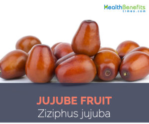 Jujube fruit facts and health benefits