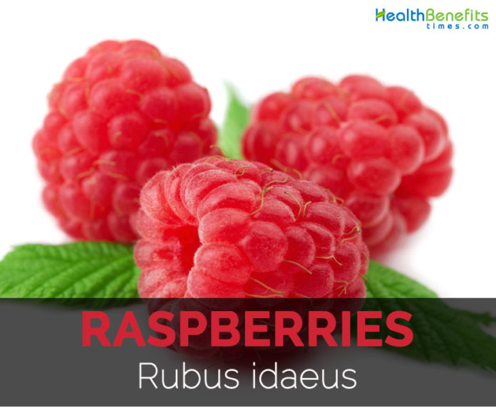 Raspberries Facts, Health Benefits and Nutritional Value