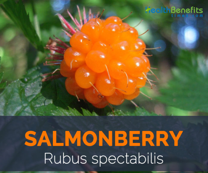 Salmonberry facts and health benefits