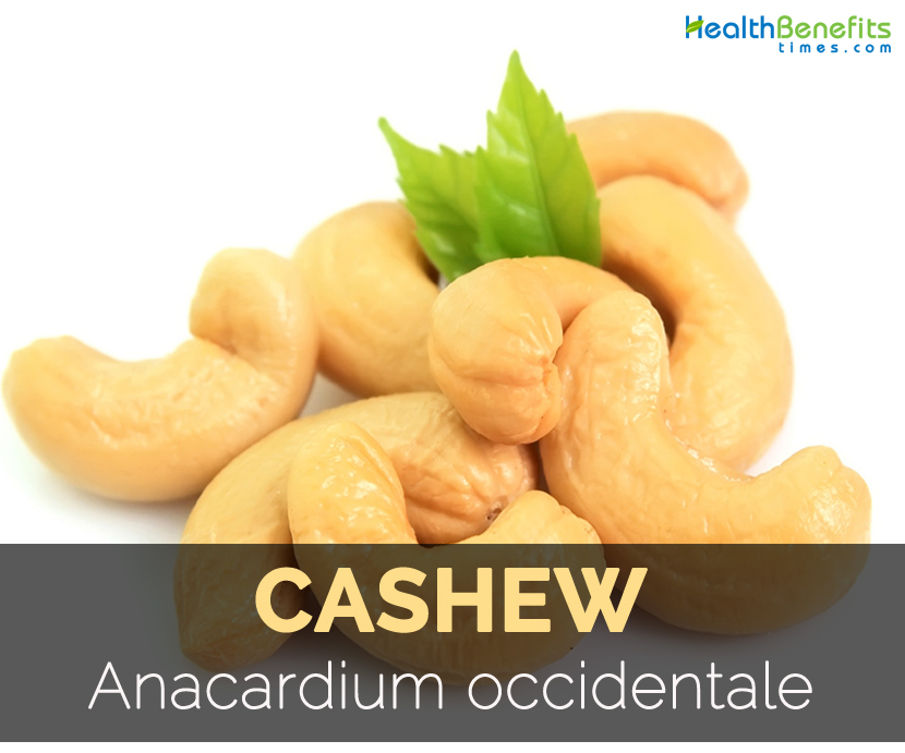 cashew-anacardium-occidentale