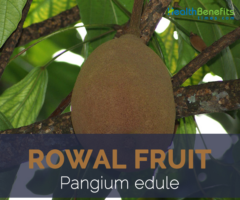 Rowal fruit facts and health benefits
