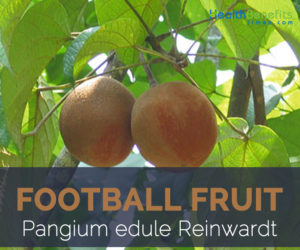 Football Fruit facts and health benefits
