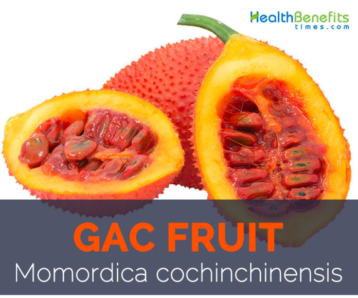 Gac Fruit facts and health benefits