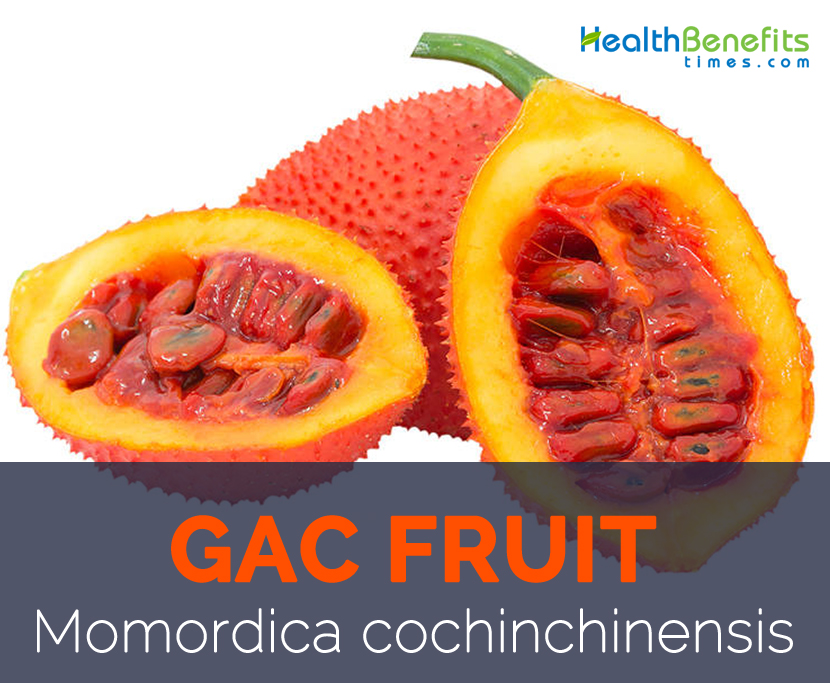 Gac fruit facts and health benefits