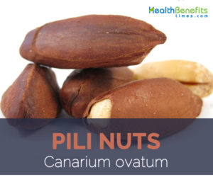 Pili nuts facts and health benefits
