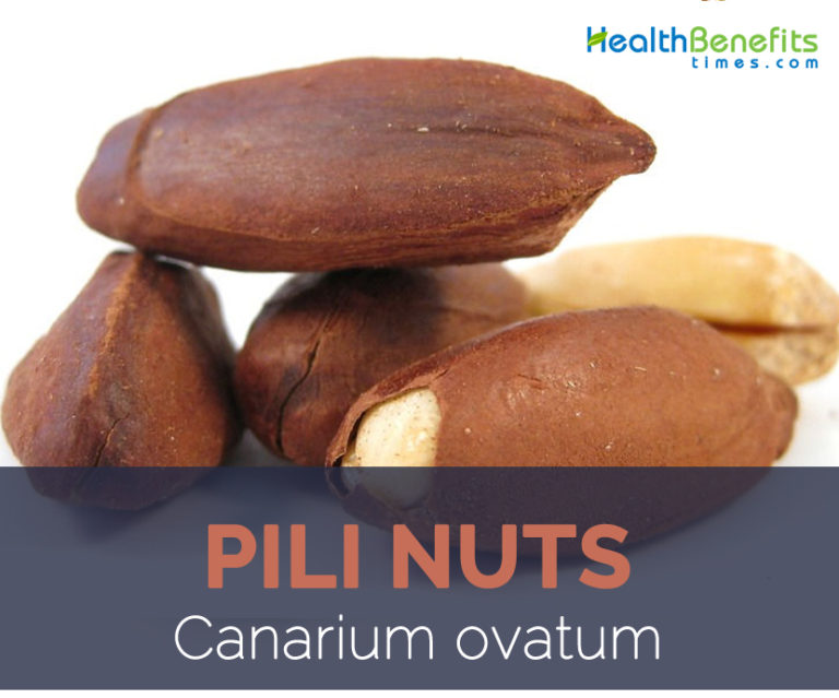 Pili Nuts facts and health benefits