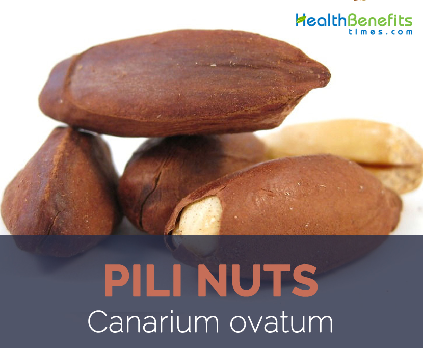 Pili nuts facts and health benefits