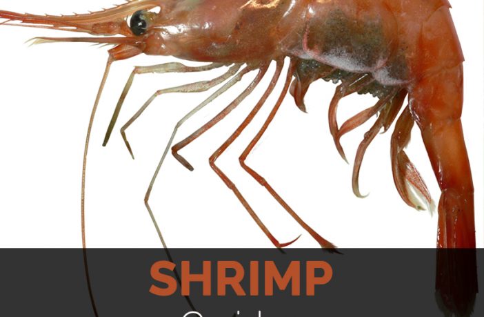 Shrimp Facts, Health Benefits and Nutritional Value
