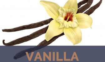 Vanilla facts and benefits