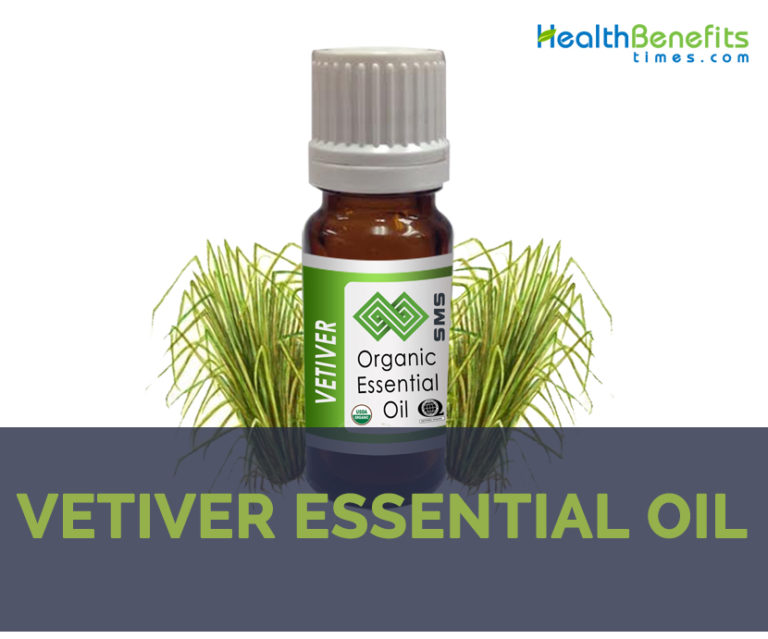 Vetiver essential oil facts and health benefits