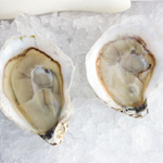 Chincoteague Oysters