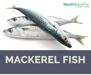Mackerel fish health benefits and facts