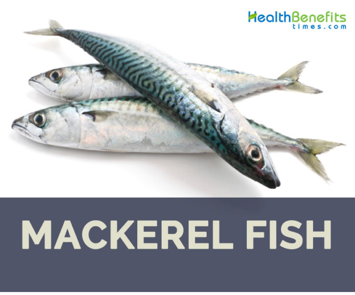 Mackerel fish facts and health benefits