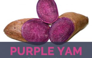 Purple yam facts and health benefits