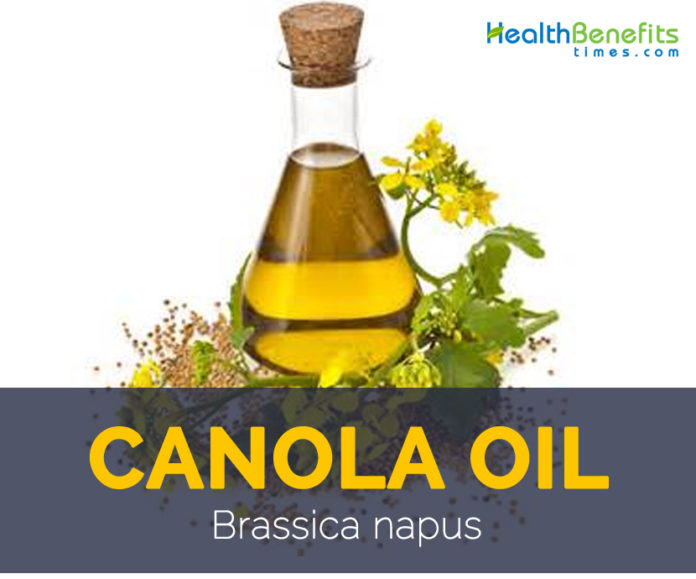 Canola oil facts and health benefits