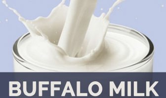 Health benefits of Buffalo milk