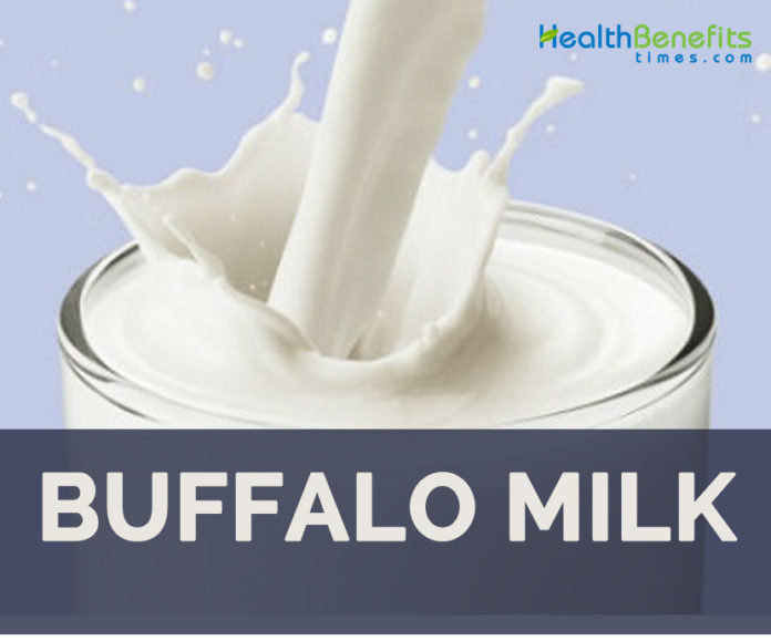 Buffalo Milk facts and health benefits