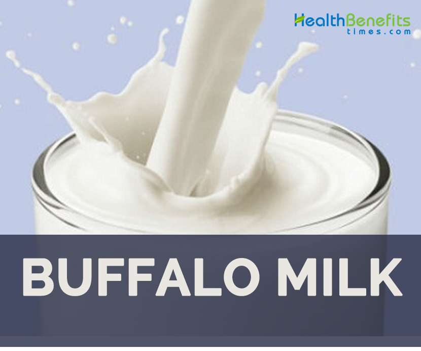 Health benefits of Buffalo milk