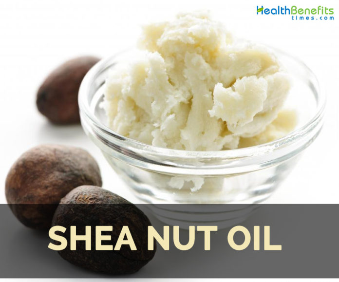 Shea nut oil Facts, Health Benefits and Nutritional Value