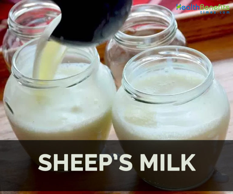 Sheep's milk Facts, Health Benefits and Nutritional Value