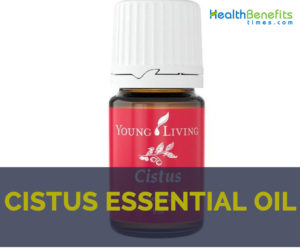 Cistus essential oil facts and health benefits