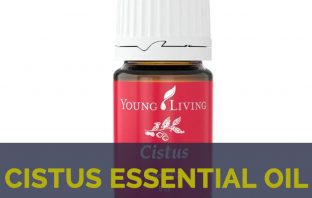 Cistus essential oil facts and health benefits