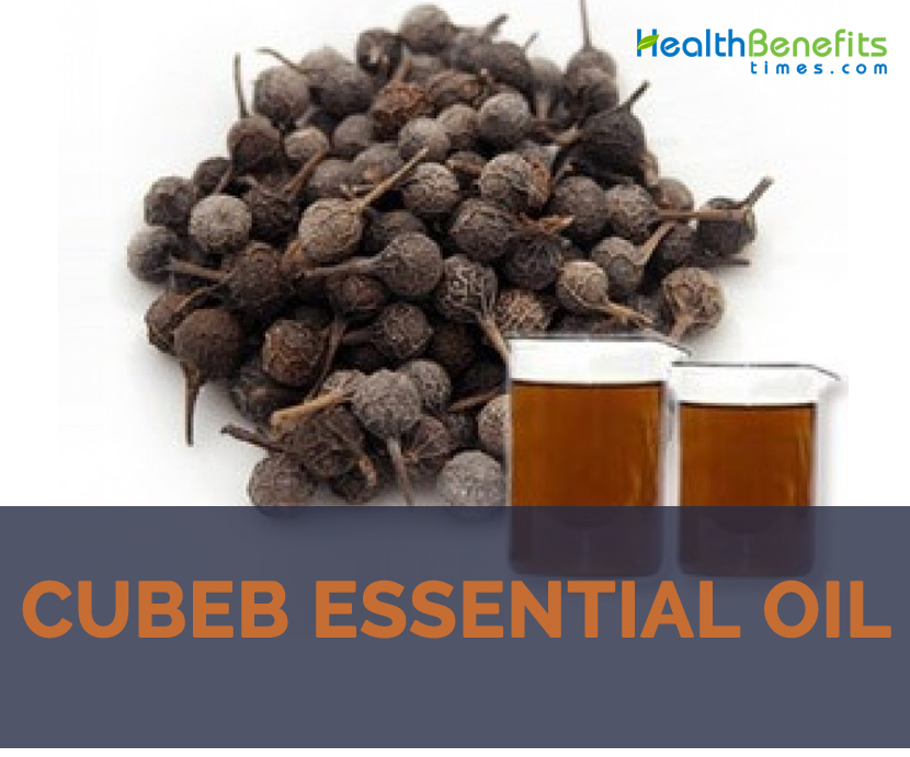 Cubeb essential oil facts and benefits
