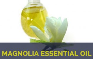 Health benefits of Magnolia essential oil