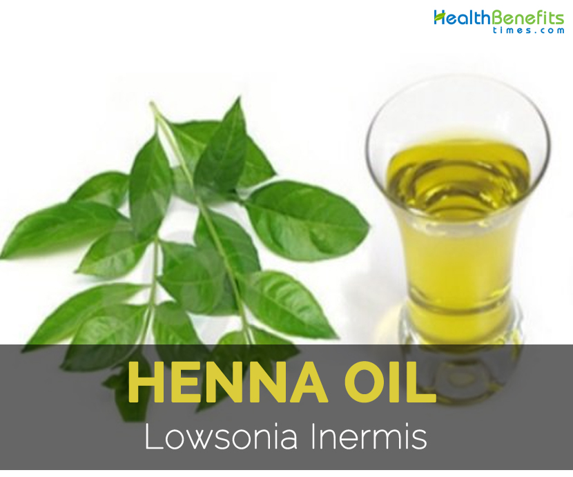 Henna oil Facts and Health Benefits