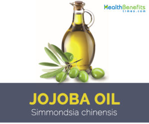 Jojoba oil facts and benefits