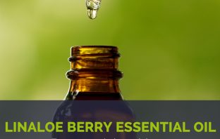 Linaloe berry essential oil facts and health benefits