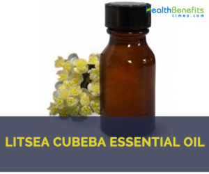 Litsea cubeba essential oil facts and benefits