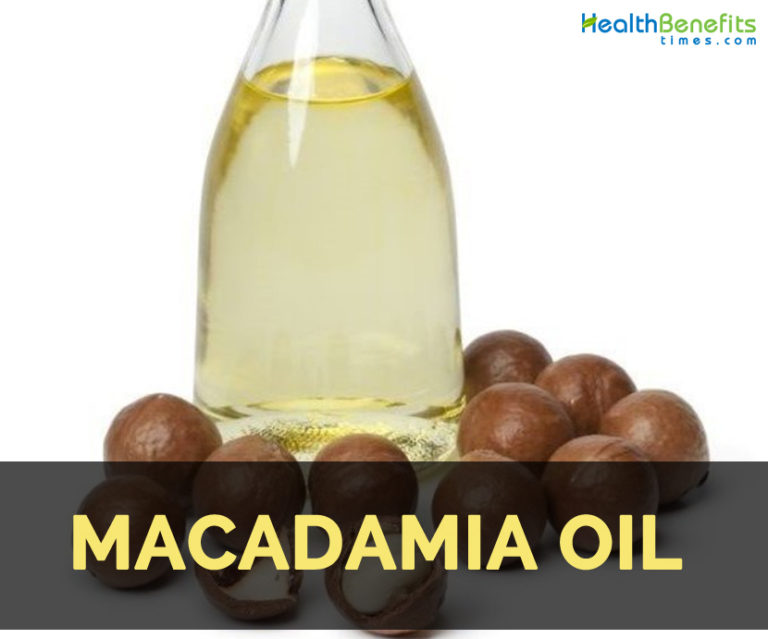 Macadamia oil Facts and Health Benefits