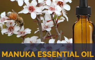 Manuka essential oil facts and benefits