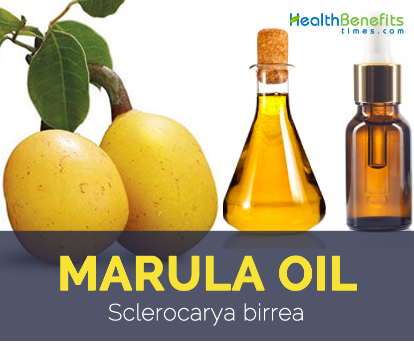 Marula oil facts and benefits