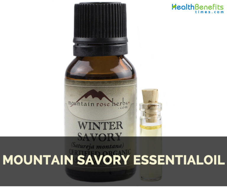 Mountain savory essential oil Facts and Health Benefits
