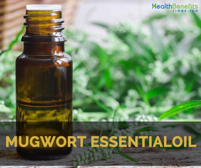 Mugwort Oil (Artemisia Vulgaris) Essential Oil 100% Pure Natural Undiluted Uncut Therapeutic Grade Oil 8.45 Fl.OZ - View #6