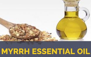 Myrrh essential oil facts and benefits
