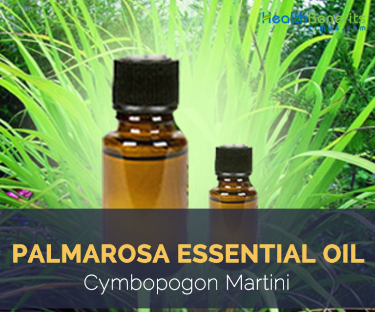 Palmarosa Essential Oil facts and health benefits