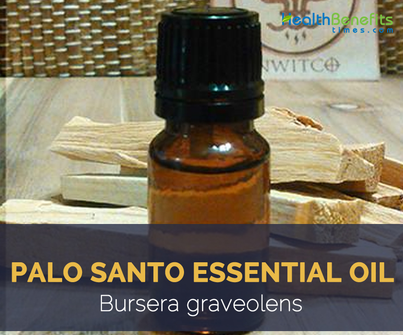 Palo santo essential oil facts and benefits