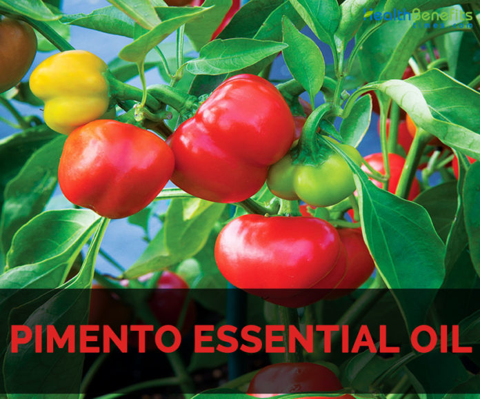 Pimento essential oil Facts and Health Benefits