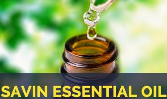 Savin essential oil facts and benefits