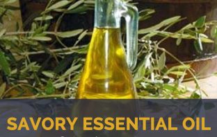 Savory essential oil facts and health benefits