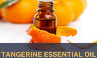 Tangerine essential oil facts and benefits