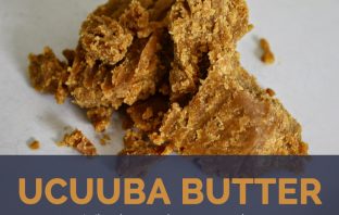Ucuhuba nut butter facts and benefits