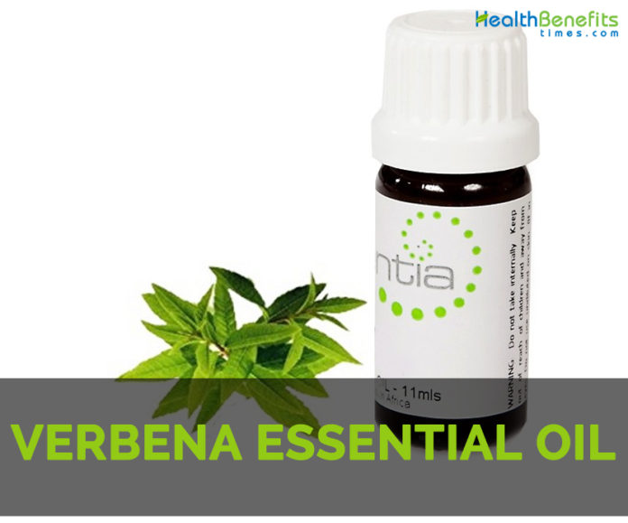 Verbena essential oil Facts and Health Benefits