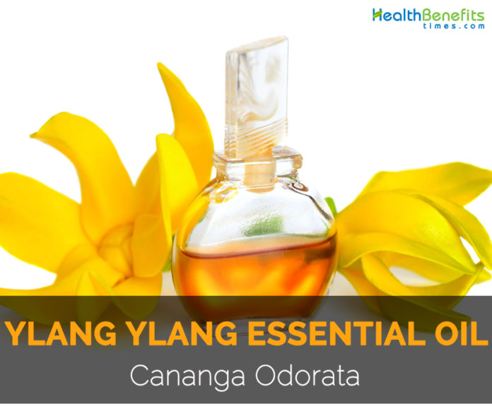 Ylang Ylang essential oil Facts and Health Benefits